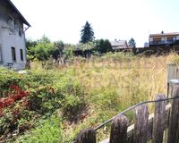 Wiese hinter den Häusern