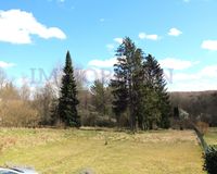 Blick in den Garten